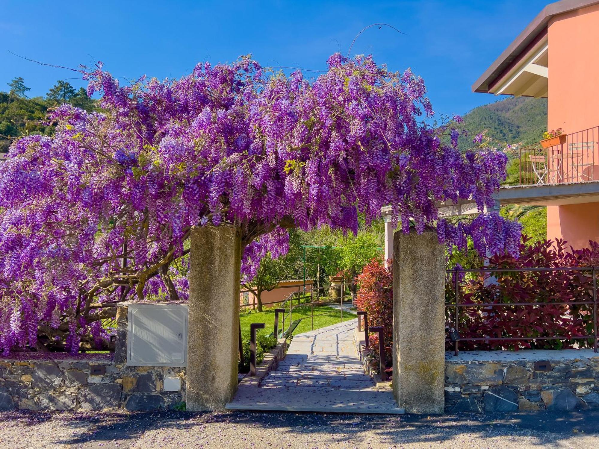 Apartmán La Casa Dei Glicini Levanto Exteriér fotografie