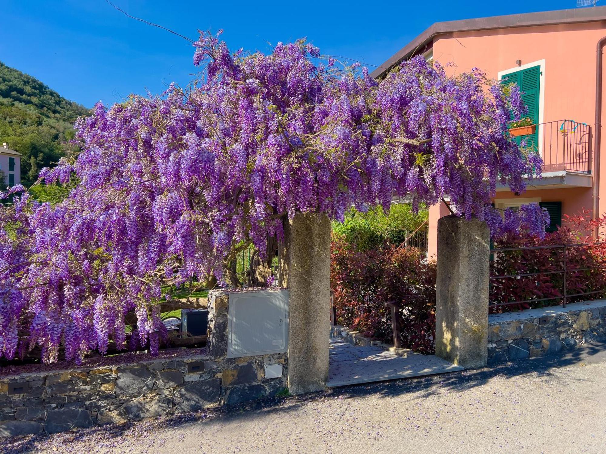 Apartmán La Casa Dei Glicini Levanto Exteriér fotografie
