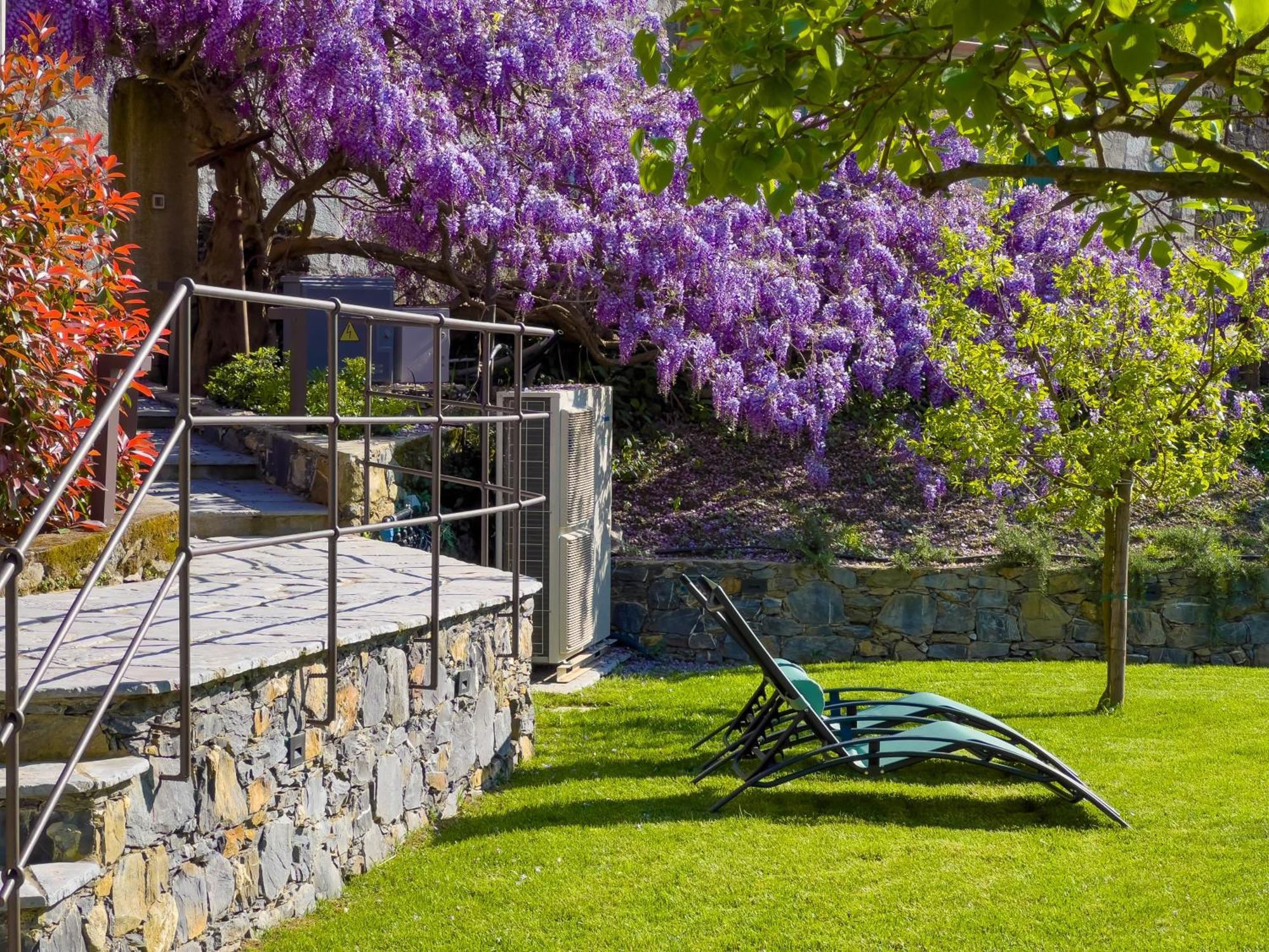 Apartmán La Casa Dei Glicini Levanto Exteriér fotografie
